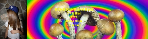 a pvp Белокуриха