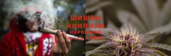 a pvp Белокуриха