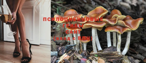 a pvp Белокуриха